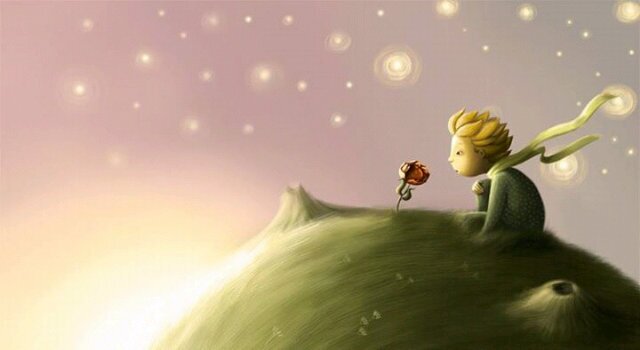 lalaceccoli's profile banner image