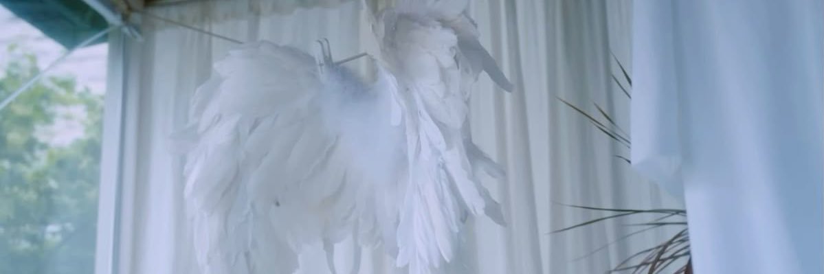 lalin415's profile banner image