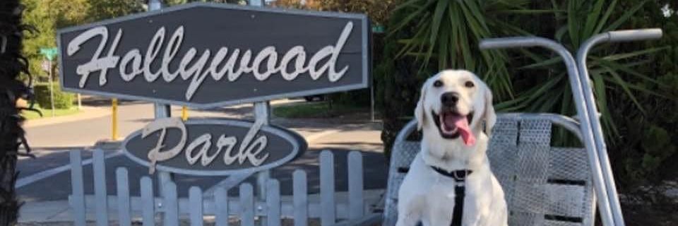 krod282002's profile banner image