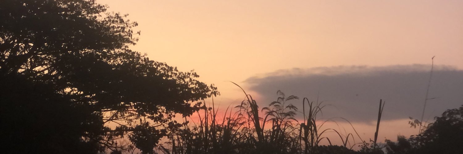 ∞୧⍤⃝🌻 banner