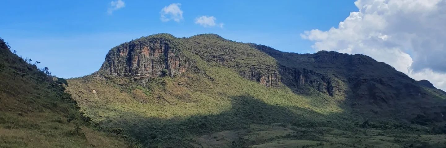 vitielloRavi's profile banner image