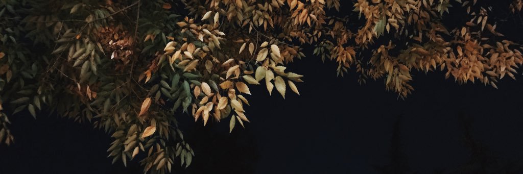 troylilly_'s profile banner image