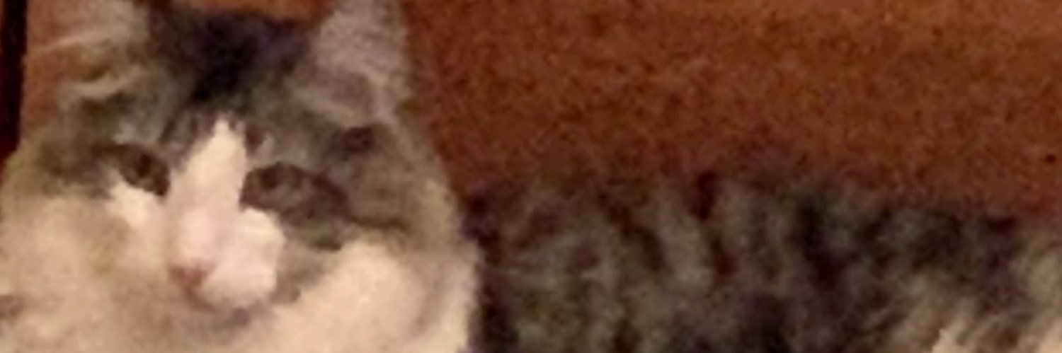 idiotpineapple's profile banner image
