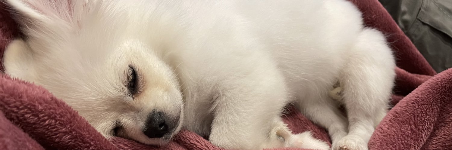 yunpimi's profile banner image