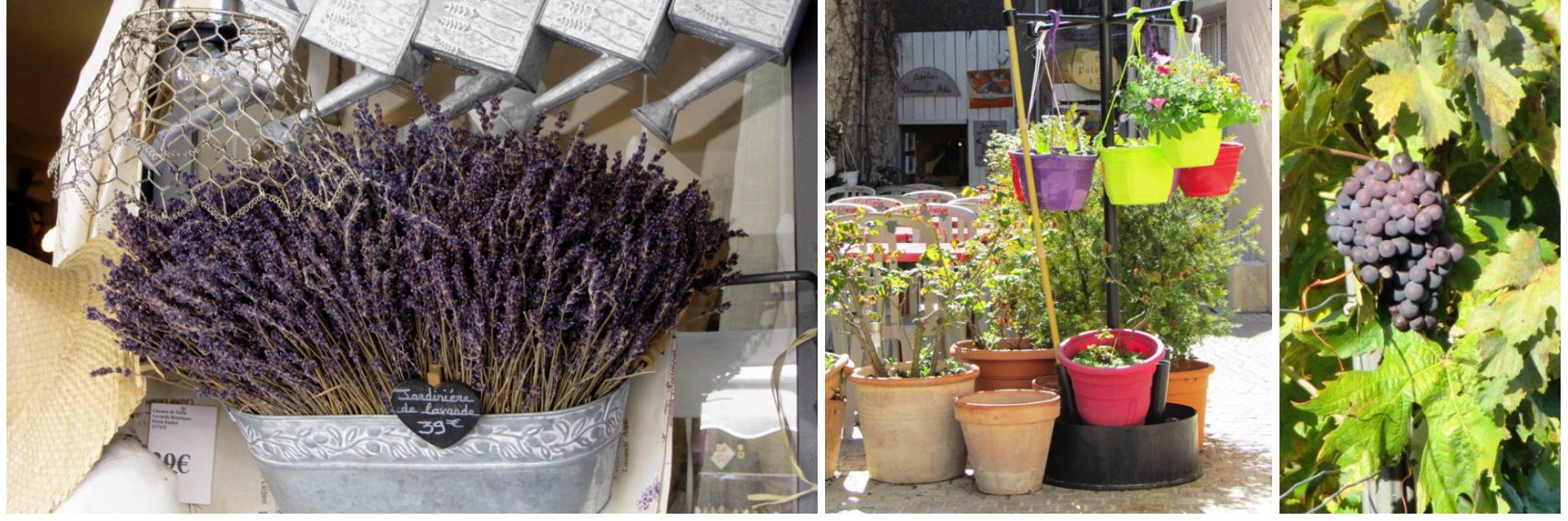 Belle_Provence's profile banner image