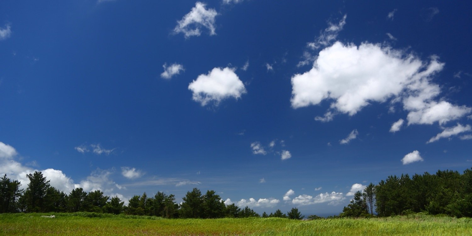 falnlov's profile banner image