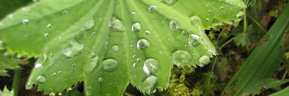 kura5975813's profile banner image