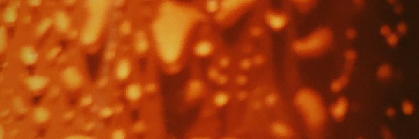 rin_jiasheng Profile Banner