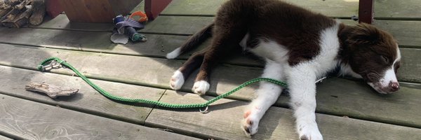 RoTheAussie Profile Banner