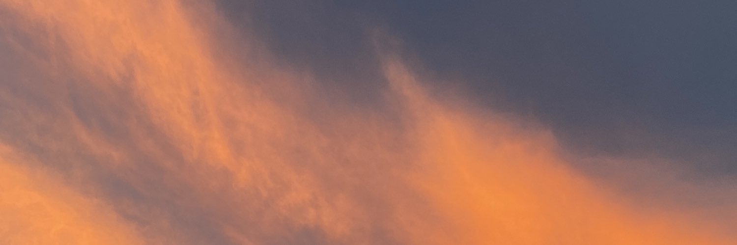 nala banner