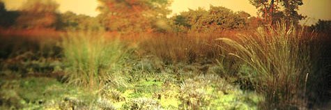 EndgamePuncher's profile banner image