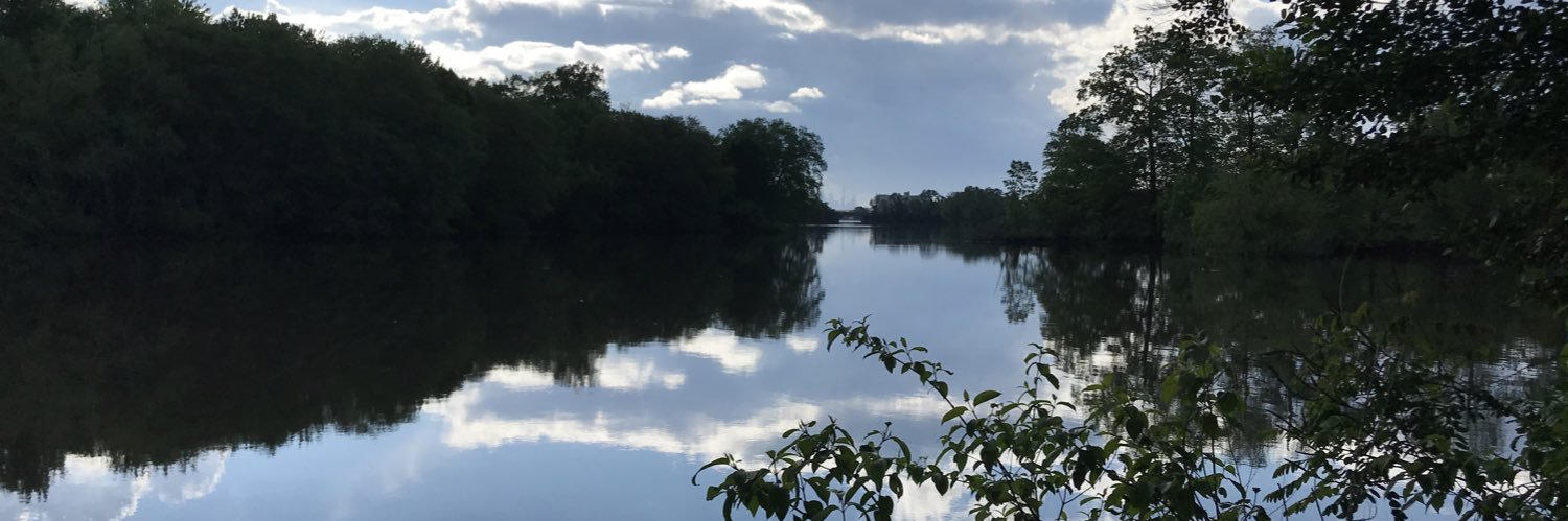 MelissBrand's profile banner image