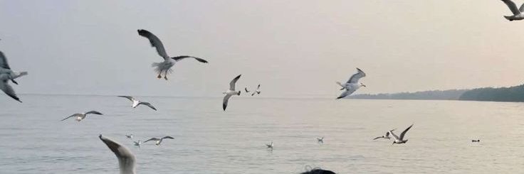 kmp_95's profile banner image