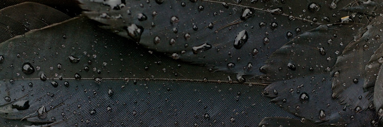 Море Ясности 🕊 banner