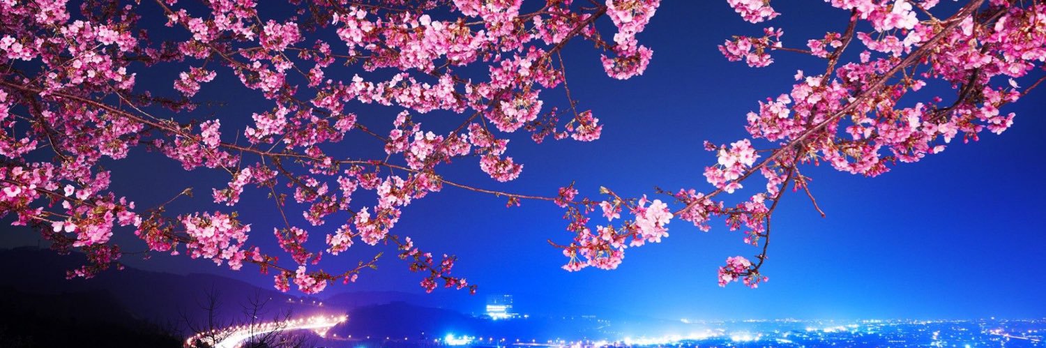 Classic Distractions banner