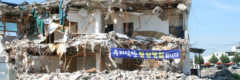 미켈란젤로 탐지견 banner