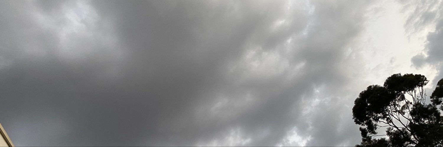 Heremithoso's profile banner image