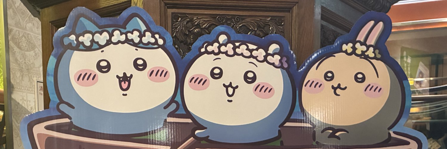 paraisopara10's profile banner image