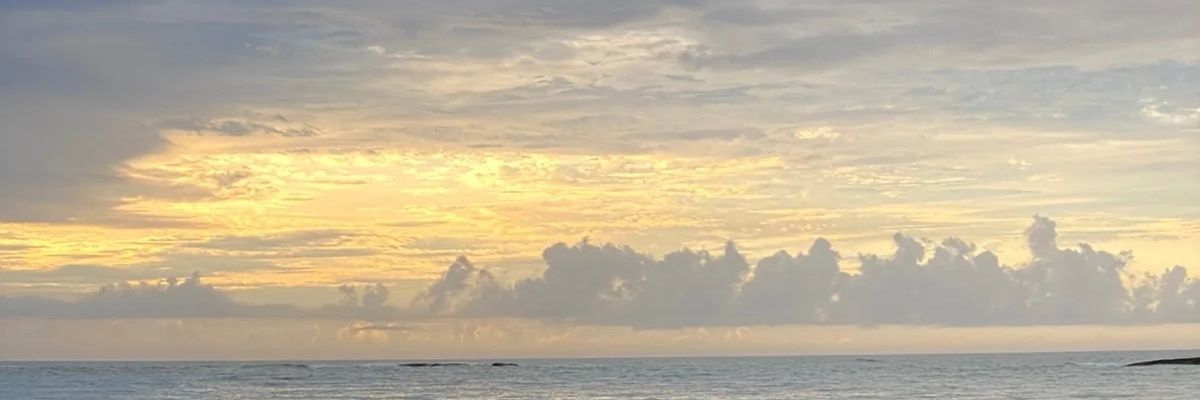 Thiago Santos banner