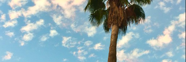 Miguelangeld_ Profile Banner