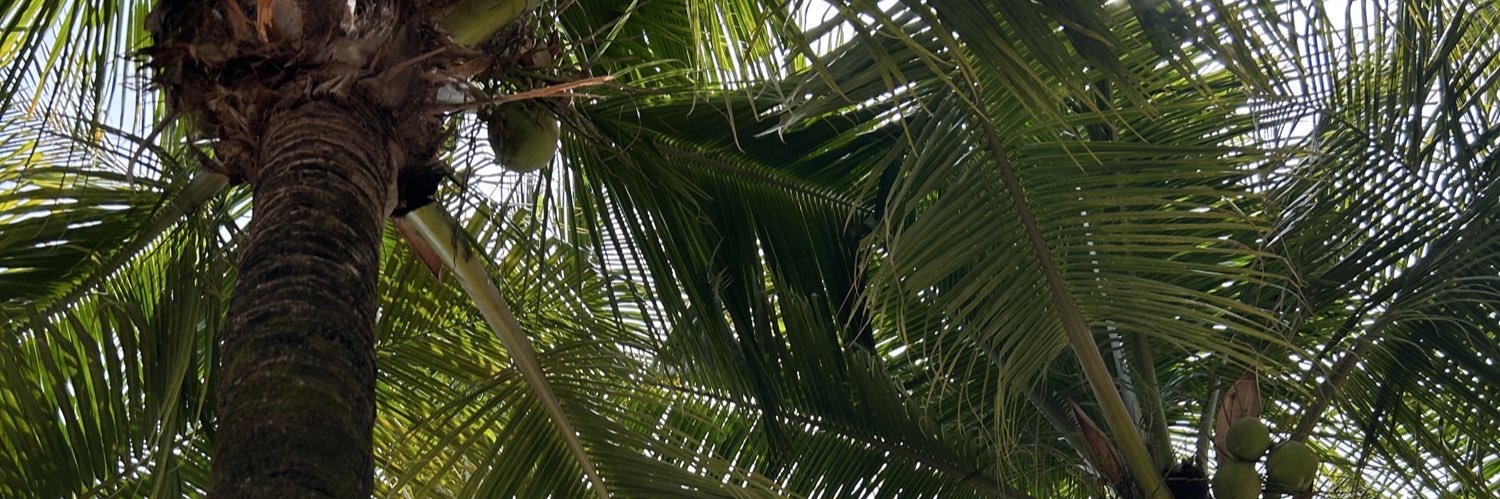 nandafortes_'s profile banner image