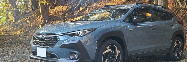 sinoyuiki Profile Banner