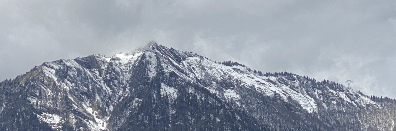 …. banner
