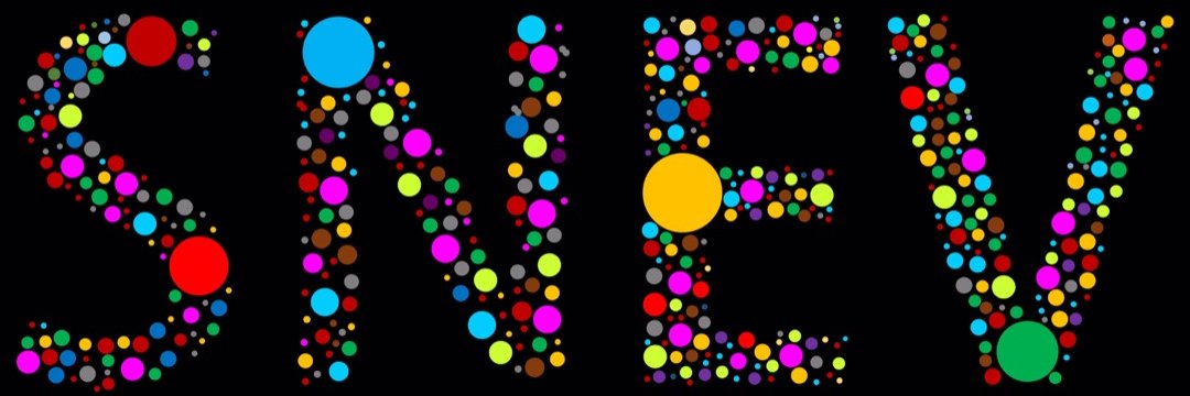 Student Network on EVs's banner