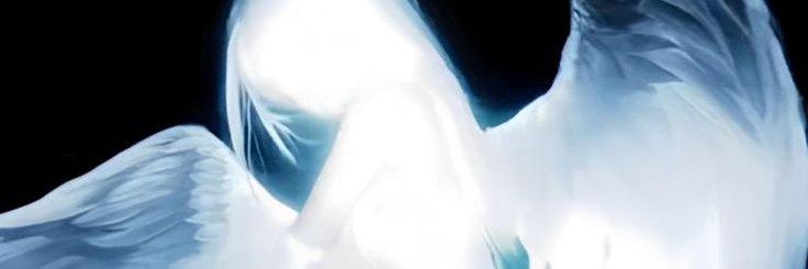 Tasha 凤凰's banner