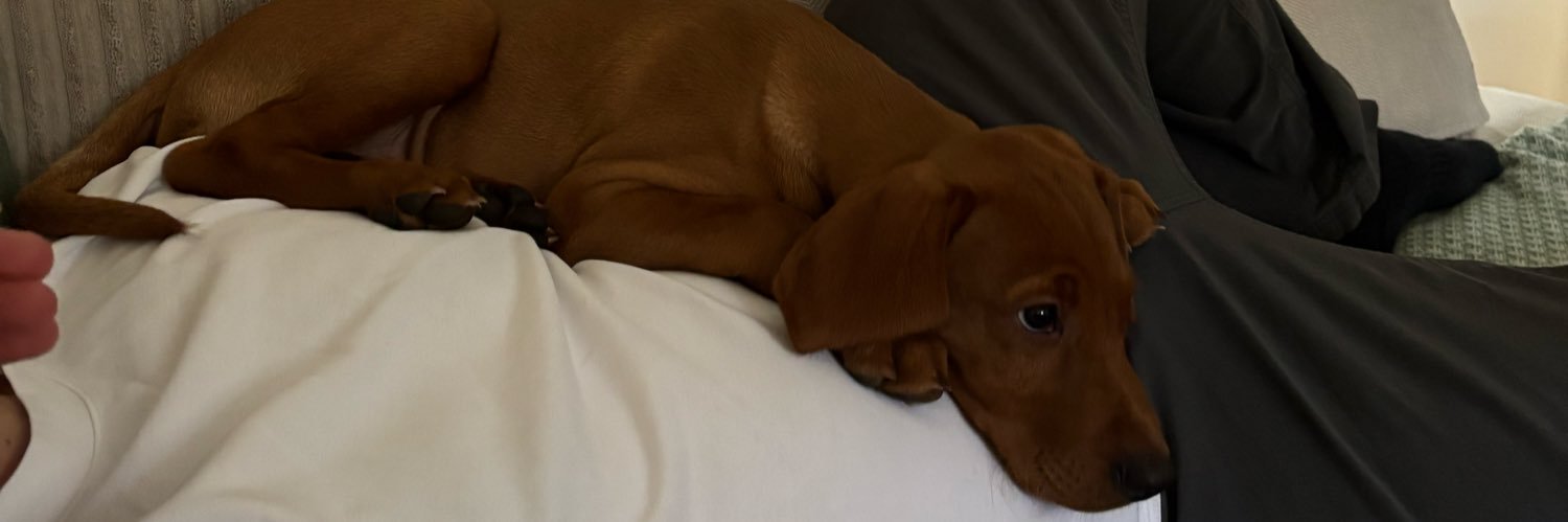 RomyHeather's profile banner image