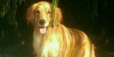 Florchu_Lopez's profile banner image