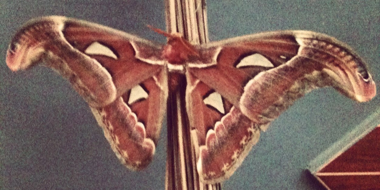 AB_Mama_'s profile banner image