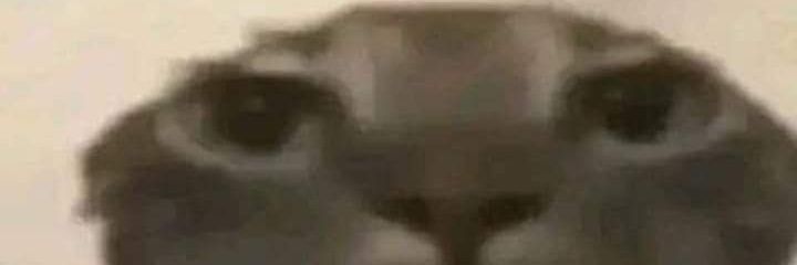 yar banner