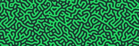 FRANK 弗兰克 banner