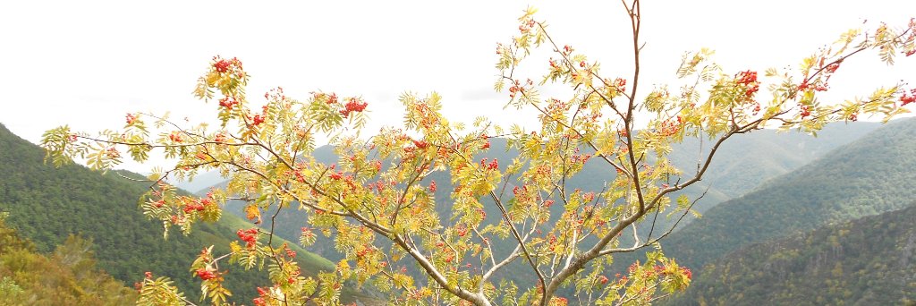 jemadigo's profile banner image