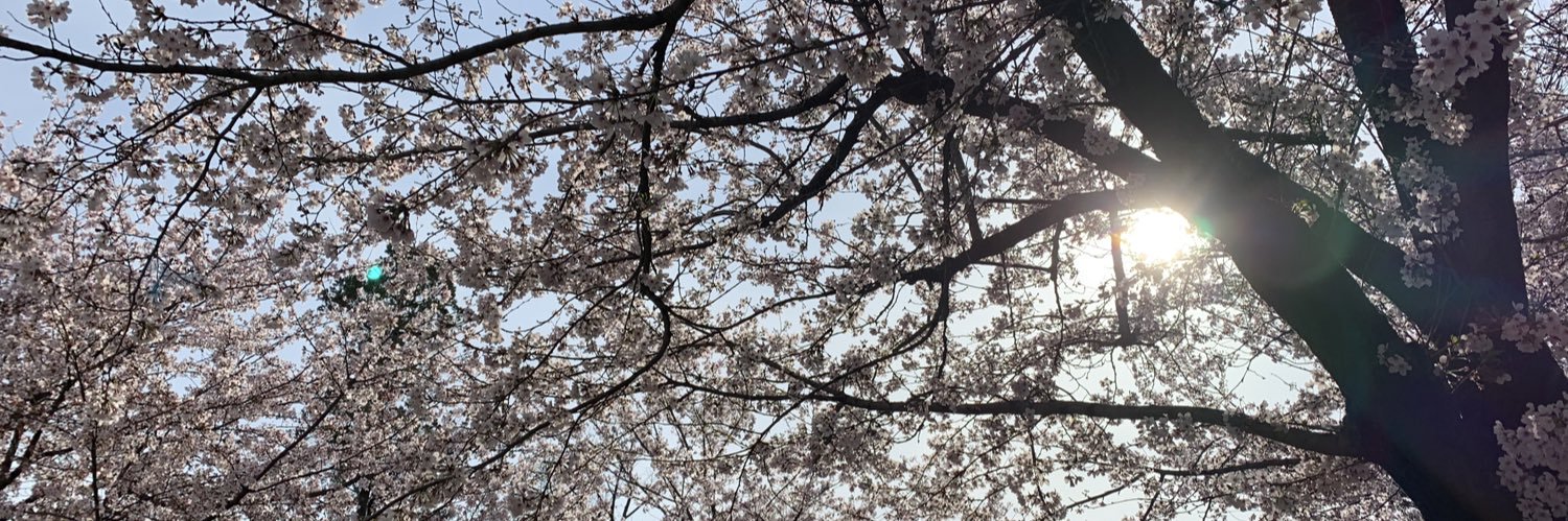 mo_dx's profile banner image