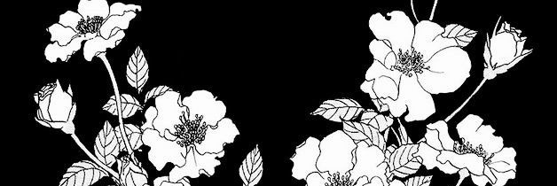 samonigiriboi's profile banner image