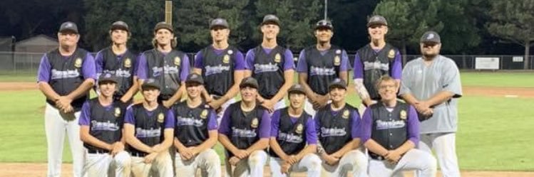 Beresford Area Baseball⚾️ banner