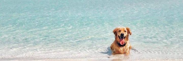 iamcharmbianca's profile banner image