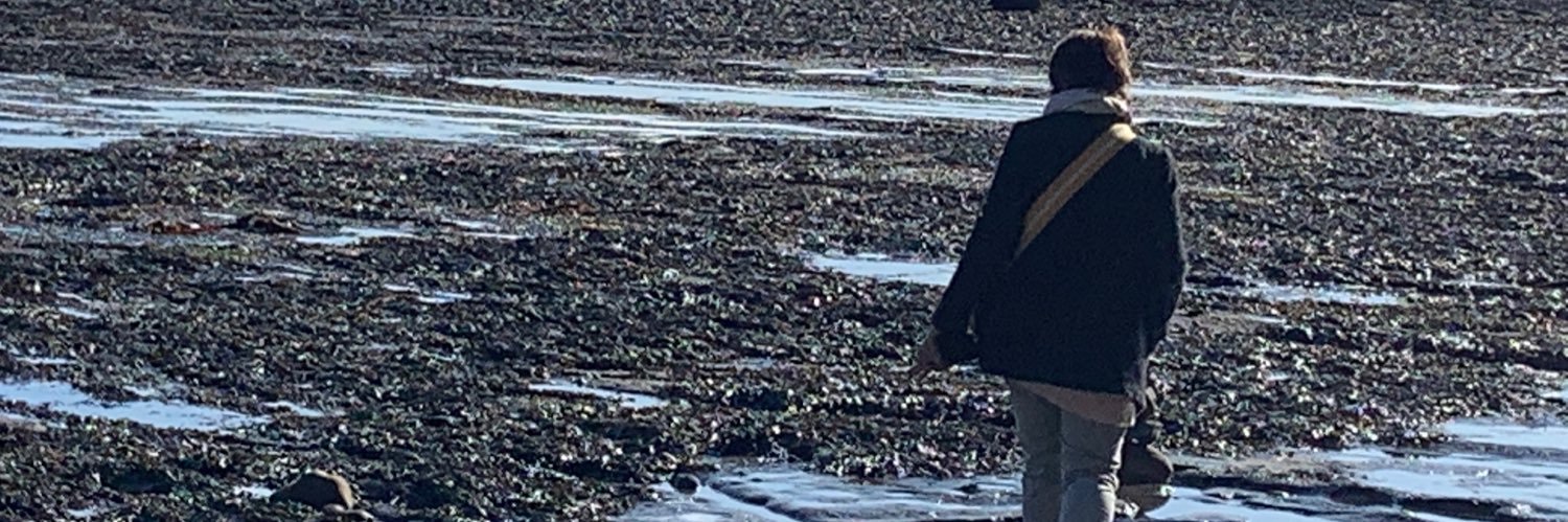 Lesley Sutton banner