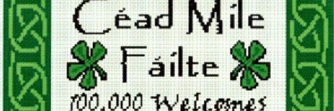 Irish Guy 🇮🇪 banner