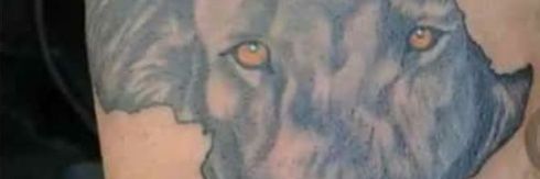 LiljafP's profile banner image