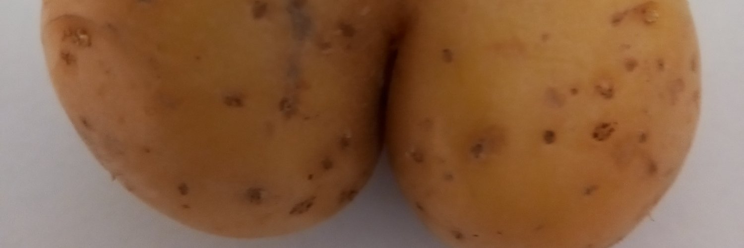 Pupukin banner