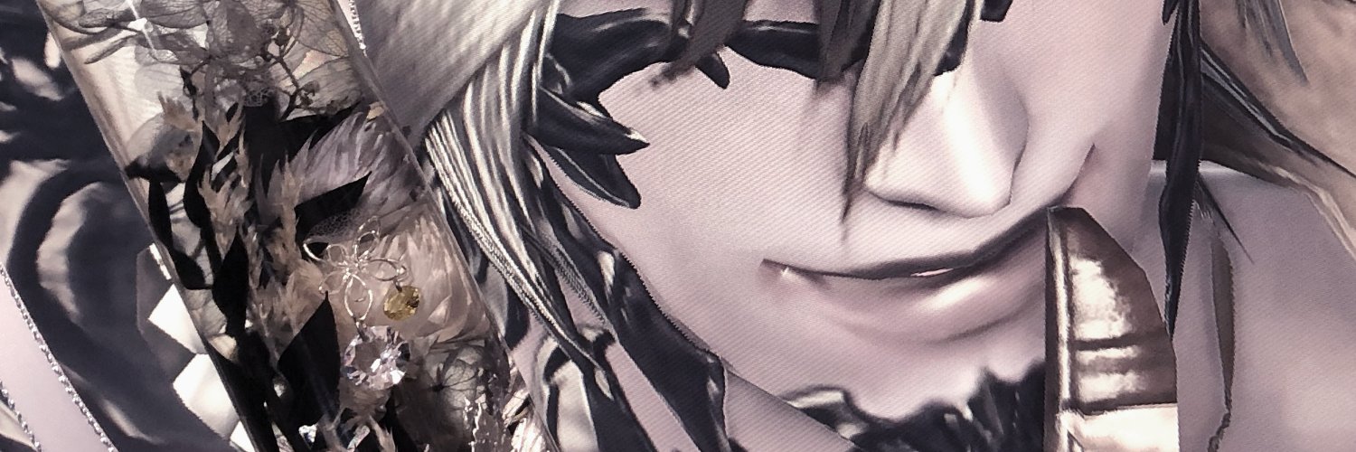 🦊しるひ+5's banner