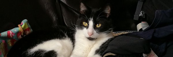 BecktyBoo Profile Banner