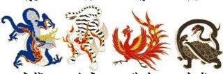 tegomassnouta's profile banner image