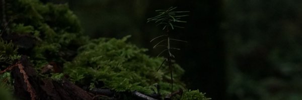 Sam___Lloyd Profile Banner