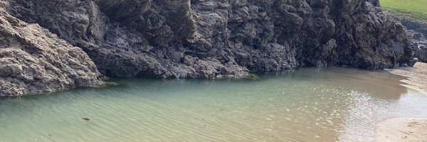 SarahLCDollar Profile Banner