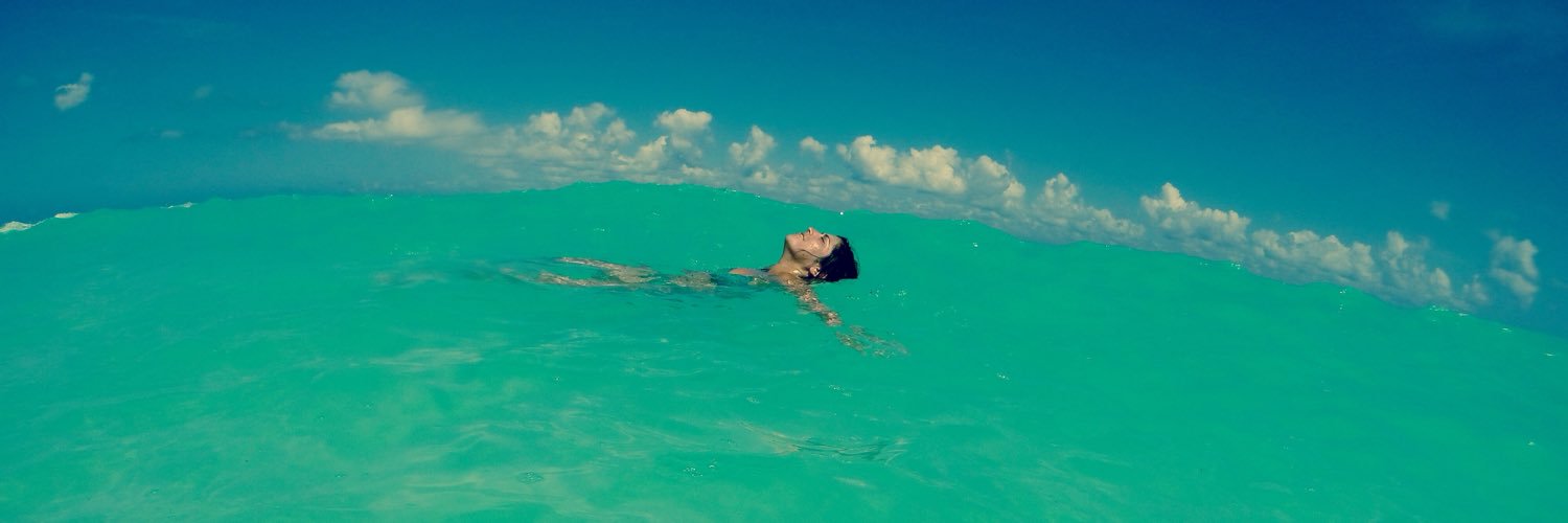 virnacastillo's profile banner image