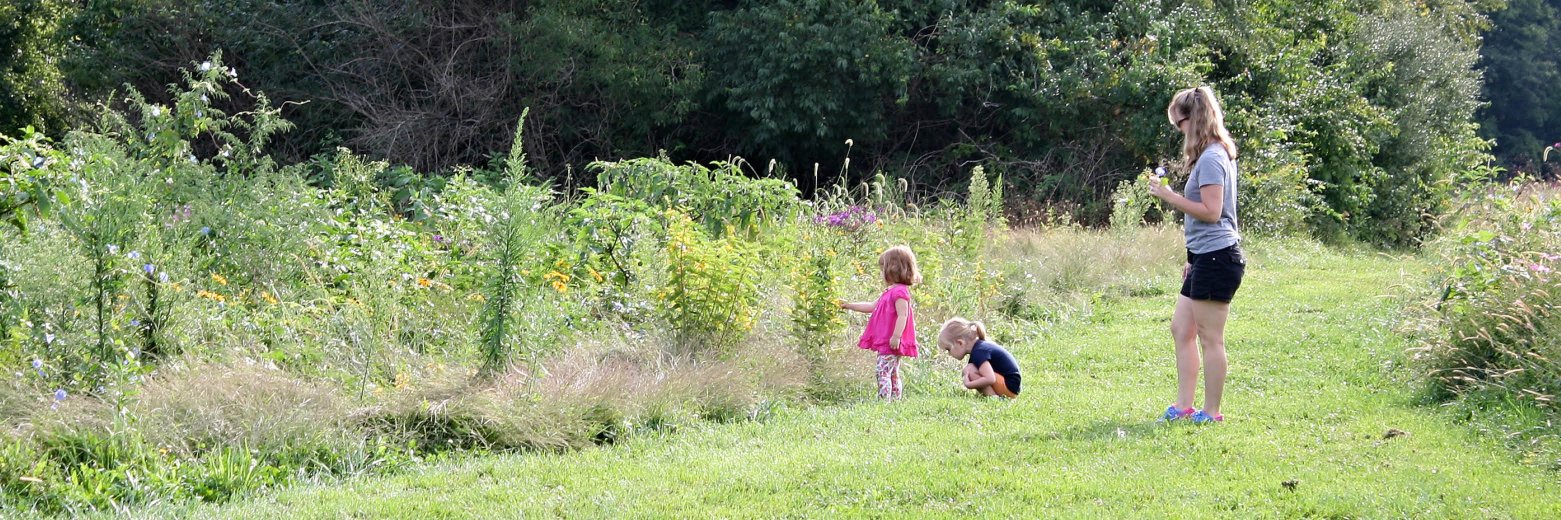 Cent-Wash Parks banner